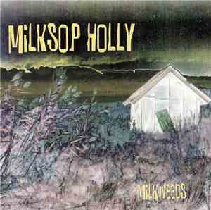 Milksop Holly - Milkweeds
