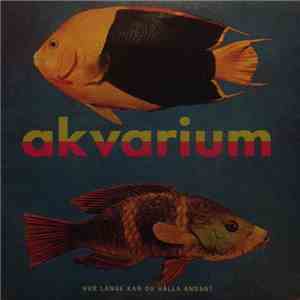 Akvarium - Hur Länge Kan Du Hålla Andan?