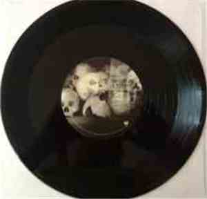 Jerry Joseph And The Jackmormons - Jerry Joseph And The Jackmormons