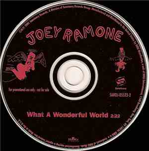 Joey Ramone - What A Wonderful World