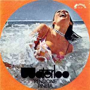Waterloo  - Pensione Pineta