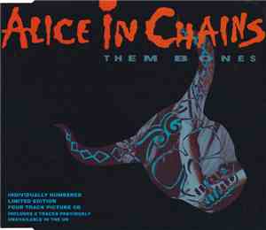 Alice In Chains - Them Bones