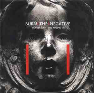 Burn The Negative - Wonder Why