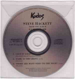 Steve Hackett - From The Album Guitar Noir