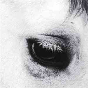 Creepoid - Horse Heaven