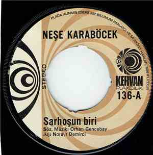 Neşe Karaböcek - Sarhosun Biri