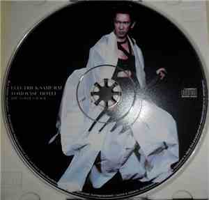 Tomoyasu Hotei - Electric Samurai