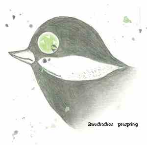 2muchachos - Prespring