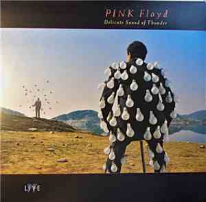 Pink Floyd - Delicate Sound Of Thunder