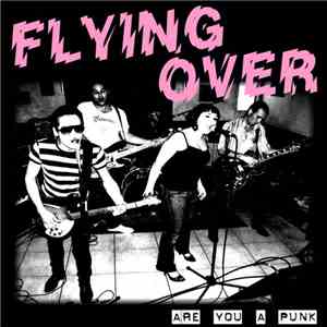 Flying Over  - Are You A Punk