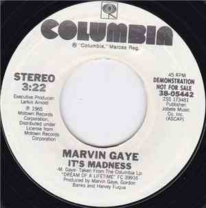 Marvin Gaye - It's Madness