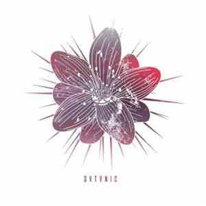 Watch Out Stampede - Svtvnic