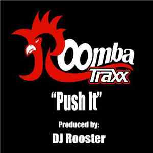 DJ Rooster - Push It