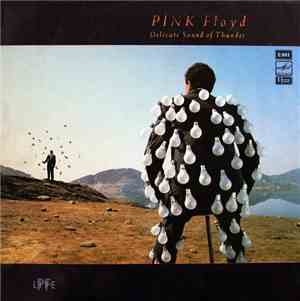 Pink Floyd - Delicate Sound Of Thunder
