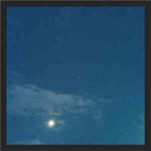 Wolf Lambert - Sleep in the backyard