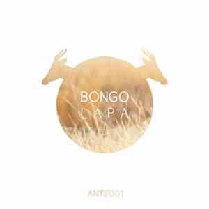 Bongo  - Lapa