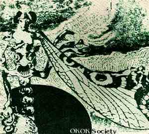 Okok Society - Third Side Experiment