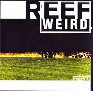 Reef - Weird
