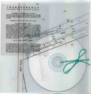 Wishes On A Plane / Bail - Transparency Tour Split
