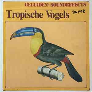 No Artist - Tropische Vogels
