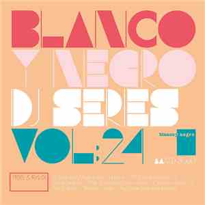 Various - Blanco Y Negro DJ Series Vol. 24