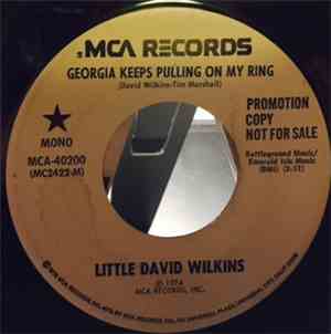 Little David Wilkins - Georgia Keeps Pulling On My Ring