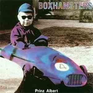 Boxhamsters - Prinz Albert