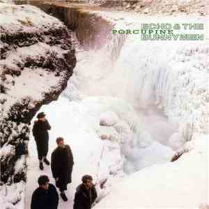 Echo & The Bunnymen - Porcupine