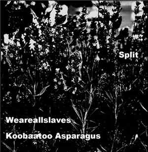 WeAreAllSlaves / Koobaatoo Asparagus - Split