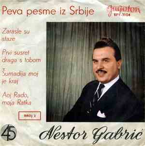 Nestor Gabrić - Zarasle Su Staze