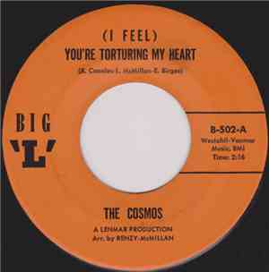 The Cosmos - (I Feel) You're Torturing My Heart