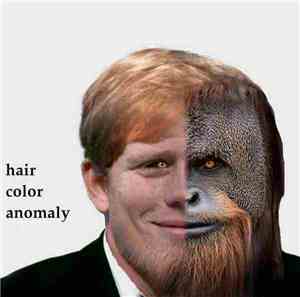 Hair Color Anomaly - Hair Color Anomaly