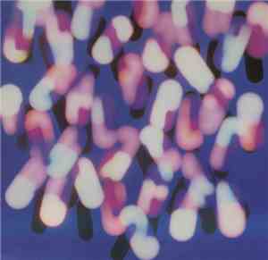 Neworder - Fine Time