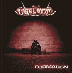 Tokks Voitto - Formation