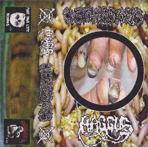Cystoblastosis / Haggus - Haggus / Cystoblastosis