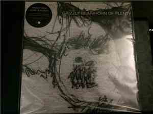 Grizzly Bear - Horn Of Plenty