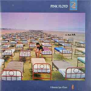 Pink Floyd - A Momentary Lapse Of Reason