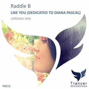 Raddle B - Like You (Dedicated To Diana Pascal)