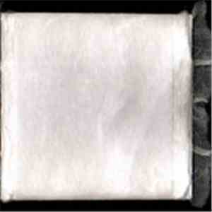 Spiracle - Evestrum