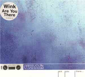 Wink - Are You There...