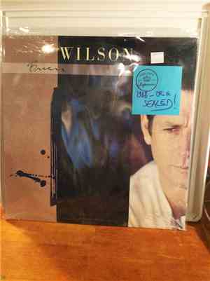 Brian Wilson - Brian Wilson