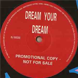 Dream Your Dream - Soushkin (DJ Yves Remix)