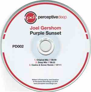 Joel Gershom - Purple Sunset