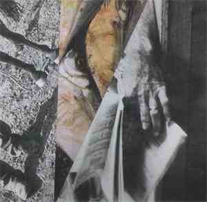 Tropical Trash - A Persistant Presencing