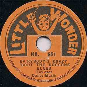 Unknown Artist - Ev'rybody's Crazy 'Bout The Doggone Blues