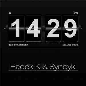 Radek K & Syndyk - Something About Control