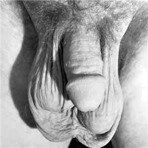 Unkle Funkle - Picture Of My Dick