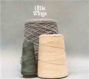 Little Wings - The Wonder City