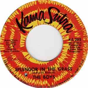The Boys  - Splendor In The Grass