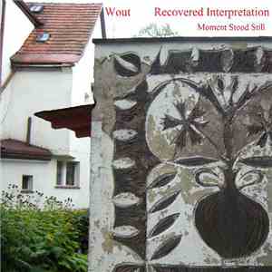 Wout  - Recovered Interpretation